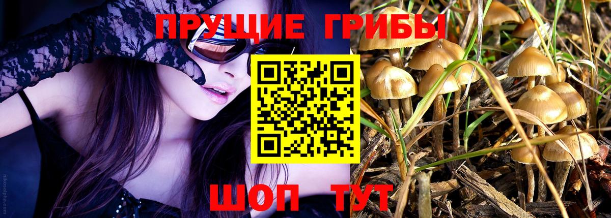 Псилоцибиновые грибы Magic Shrooms  Вход с VPN  Костомукша 
