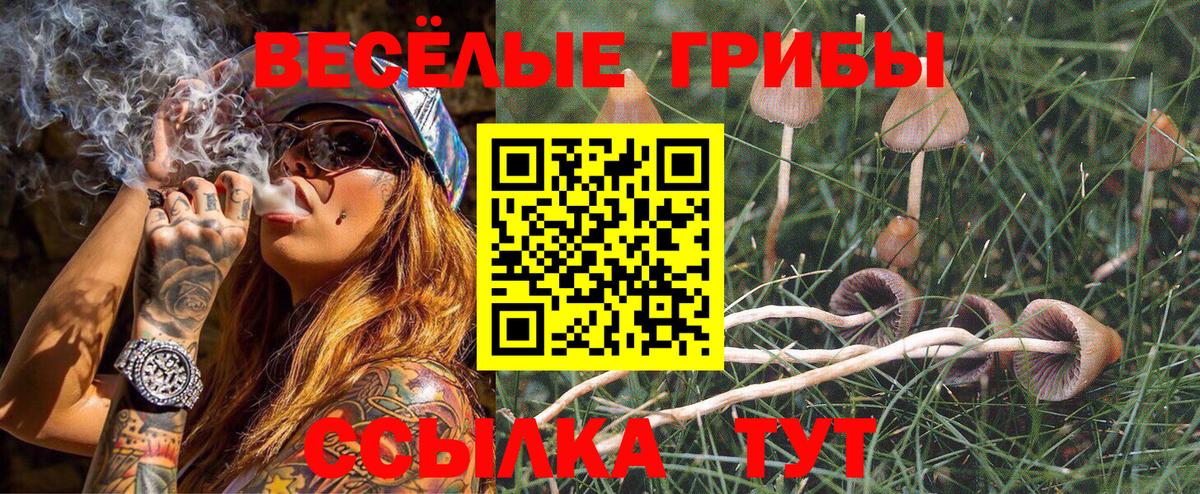 Псилоцибиновые грибы ЛСД Костомукша